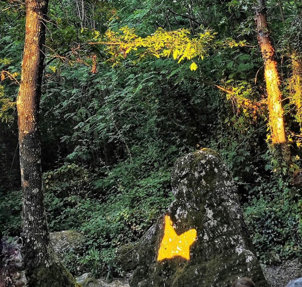 Farfalla dorata del Monte Caprione